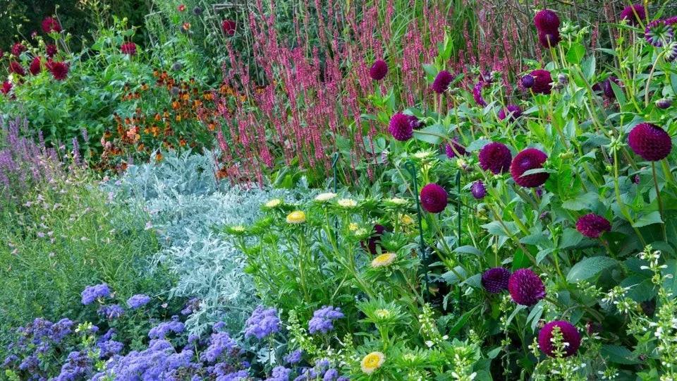 彼得兔的花园该怎么做,彼得兔的花园视频