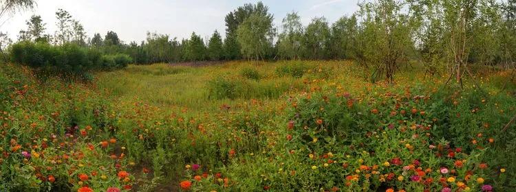 儿童乐园绿心公园,绿心公园儿童游乐区最新视频