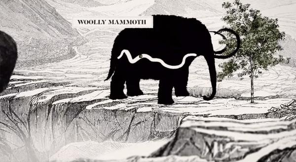 牛油果是坏了吗,牛油果几十年前