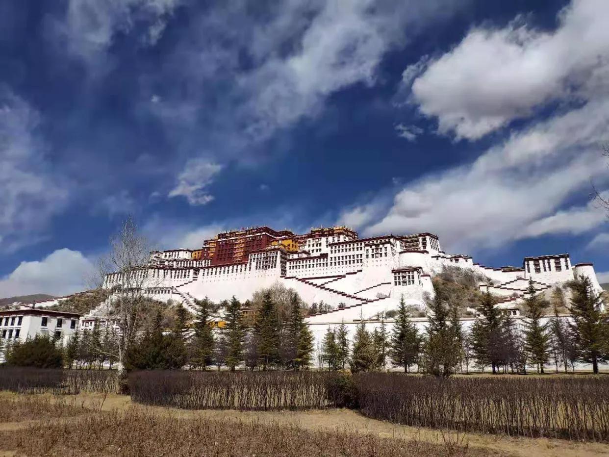 手拍世界完整版视频,手拍世界作品专集