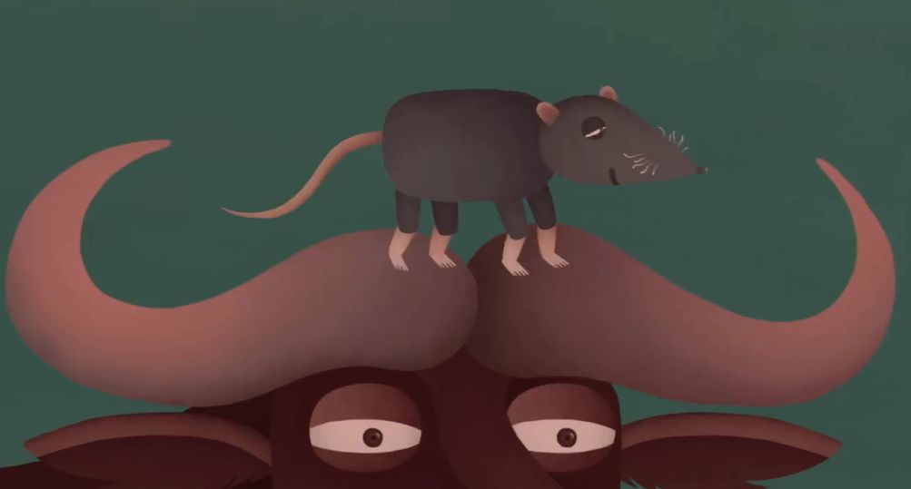 鼠年快到了，你知道十二生肖是怎么来的吗？