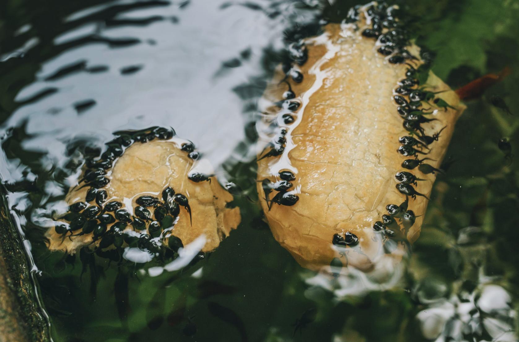 哪些行为容易导致不孕不育,有哪些行为会导致不孕不育