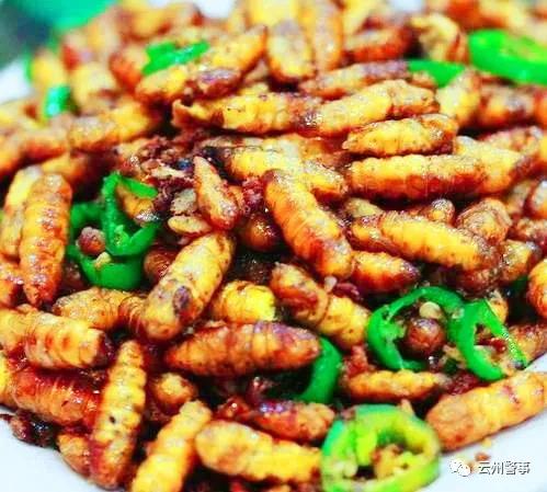 长途奔袭|云县警方辗转数百里，抓回“卖蜂子”电信诈骗嫌疑人