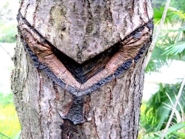 小孩常见的皮炎,学生皮炎