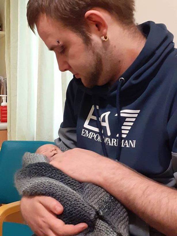 人鱼宝宝的降生,人鱼宝宝长大后图片