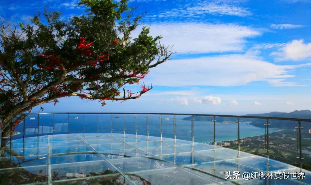 逃离北方的寒冷,逃离北方森林