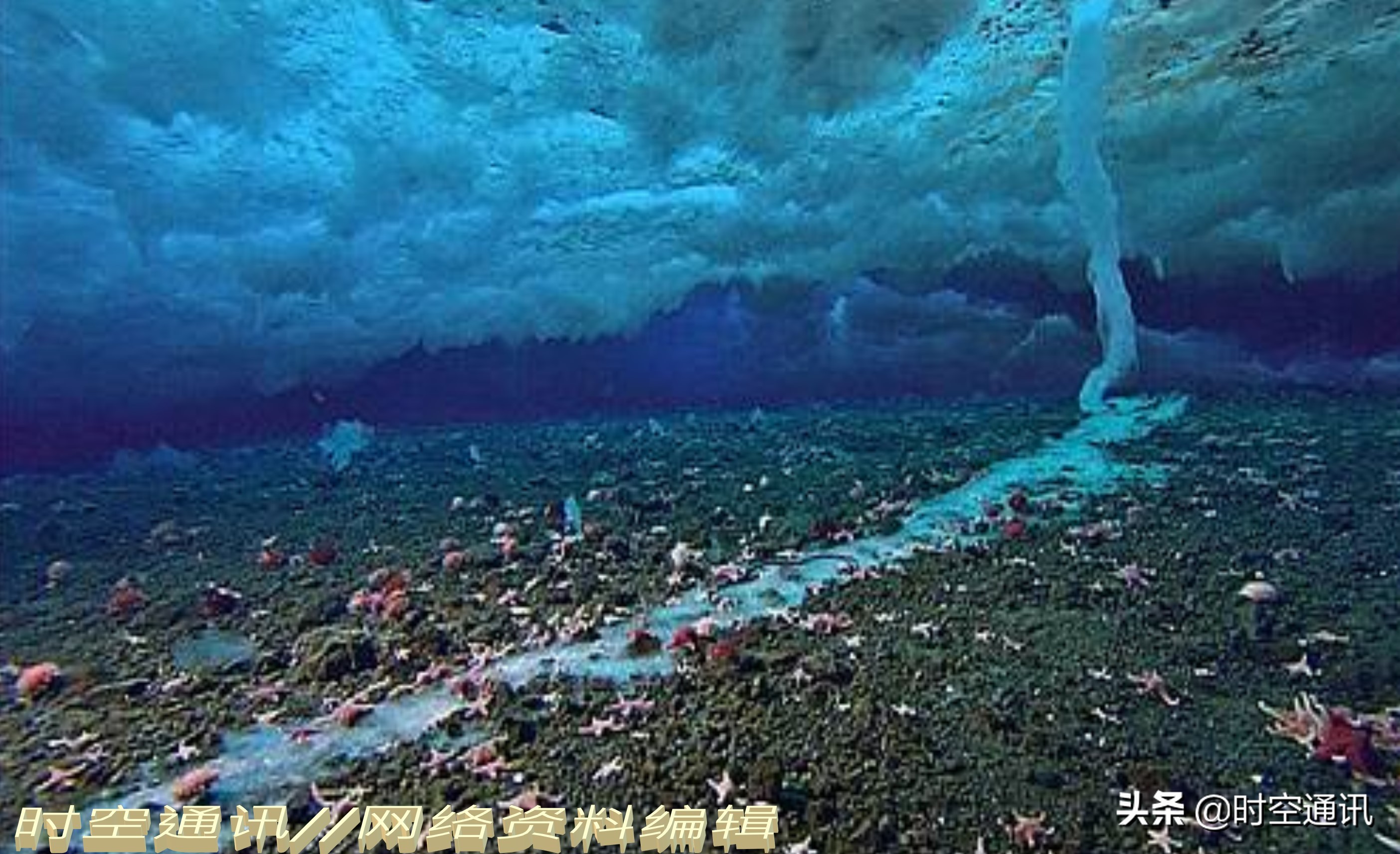 地球上出现人类有多少年了,地球上只出现过一次人类吗