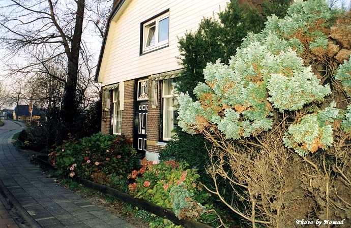 水乡羊角村,荷兰最美羊角村