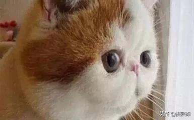 侧脸拍照好看的秘诀,侧脸不好看拍照技巧与角度