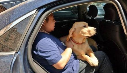 带狗狗旅行需要准备什么,带狗狗去旅行要注意什么