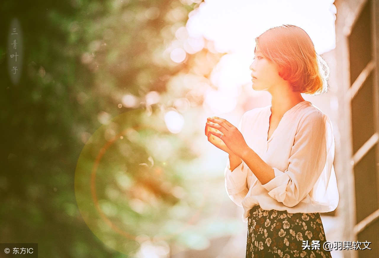 《布鲁克林有棵树》:苦难铸就成长,温情培育希望