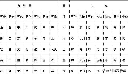 中医执业药师考试重点必背,中医诊断执业医师常考知识点