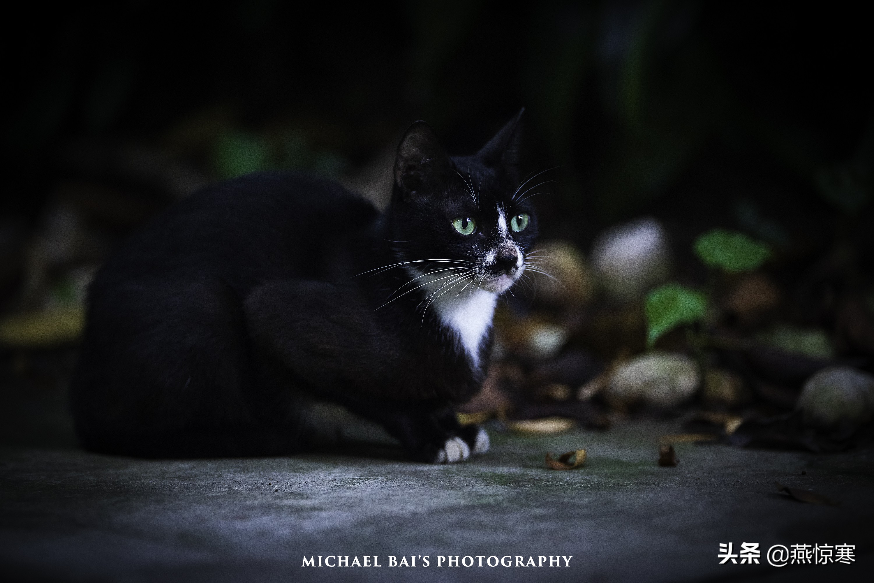 盘点一下我这些年用过的相机,回顾我用过的数码相机