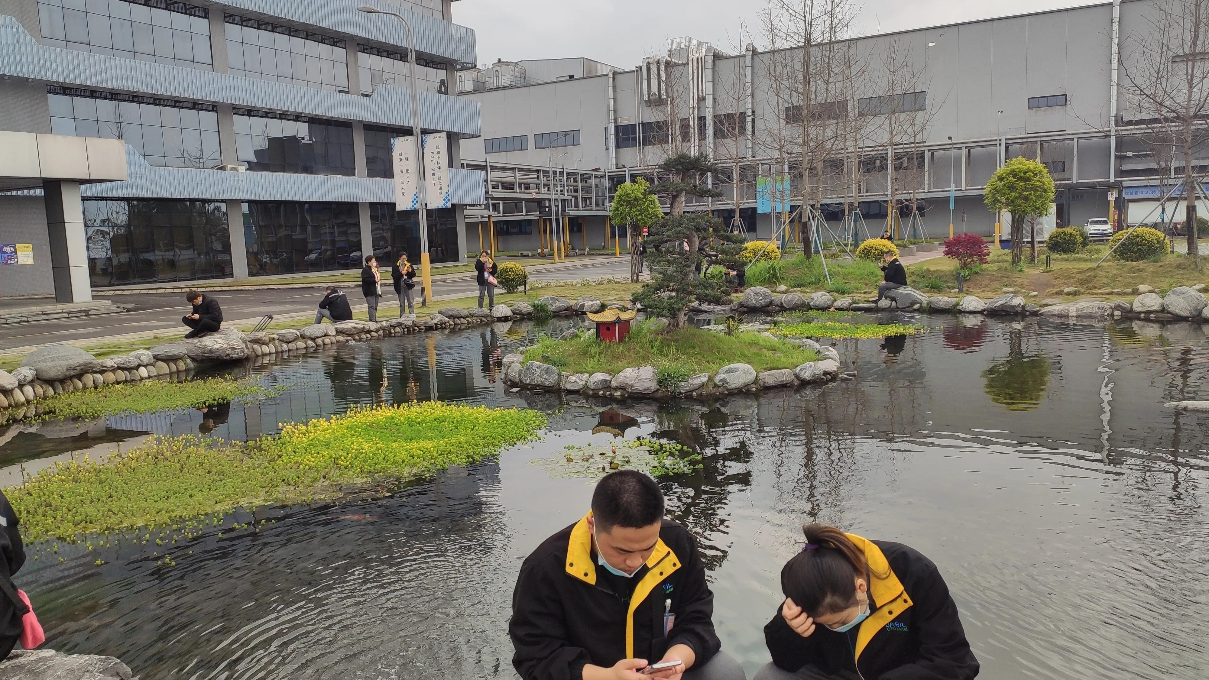 到位于捷普集团成都子公司上班，生活与环境，氛围特别好