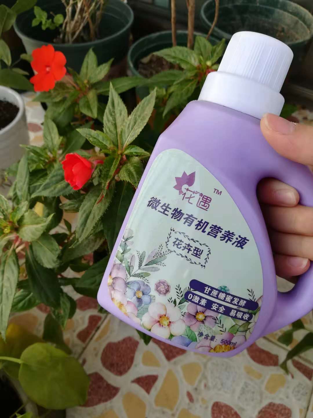 天了噜，花遇福利，“清凉”来袭啦