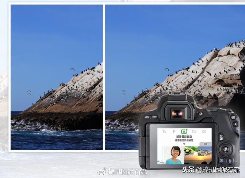 3000左右佳能相机推荐全新的,佳能3000元买微单还是单反