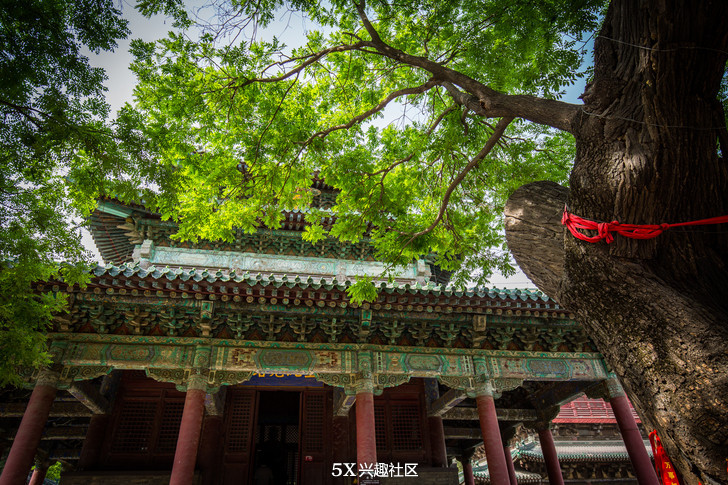 千年隆兴寺视频,千年古城正定