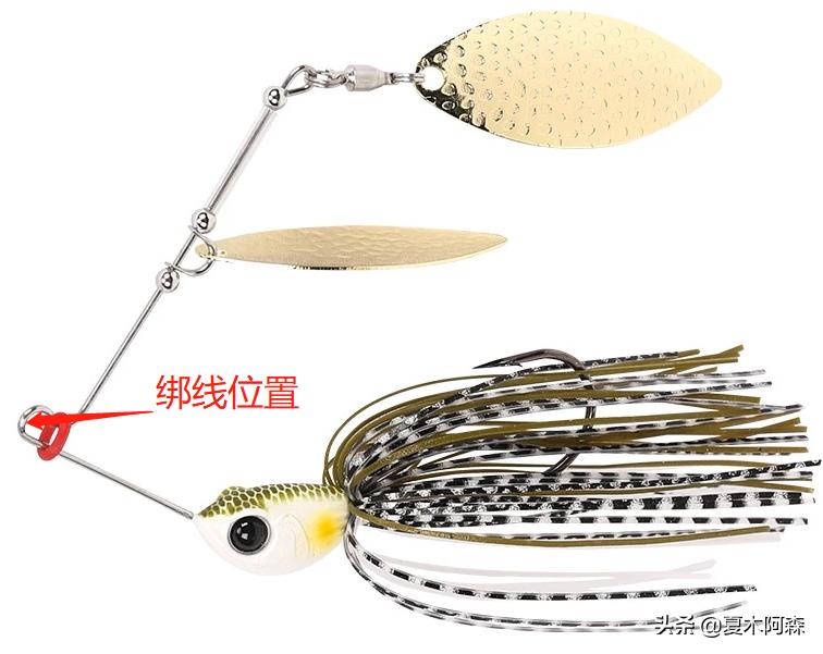 路亚不知道钓什么鱼用什么饵,路亚新手不会打前导怎么办