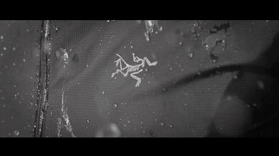 高阶机能风,廉价机能风