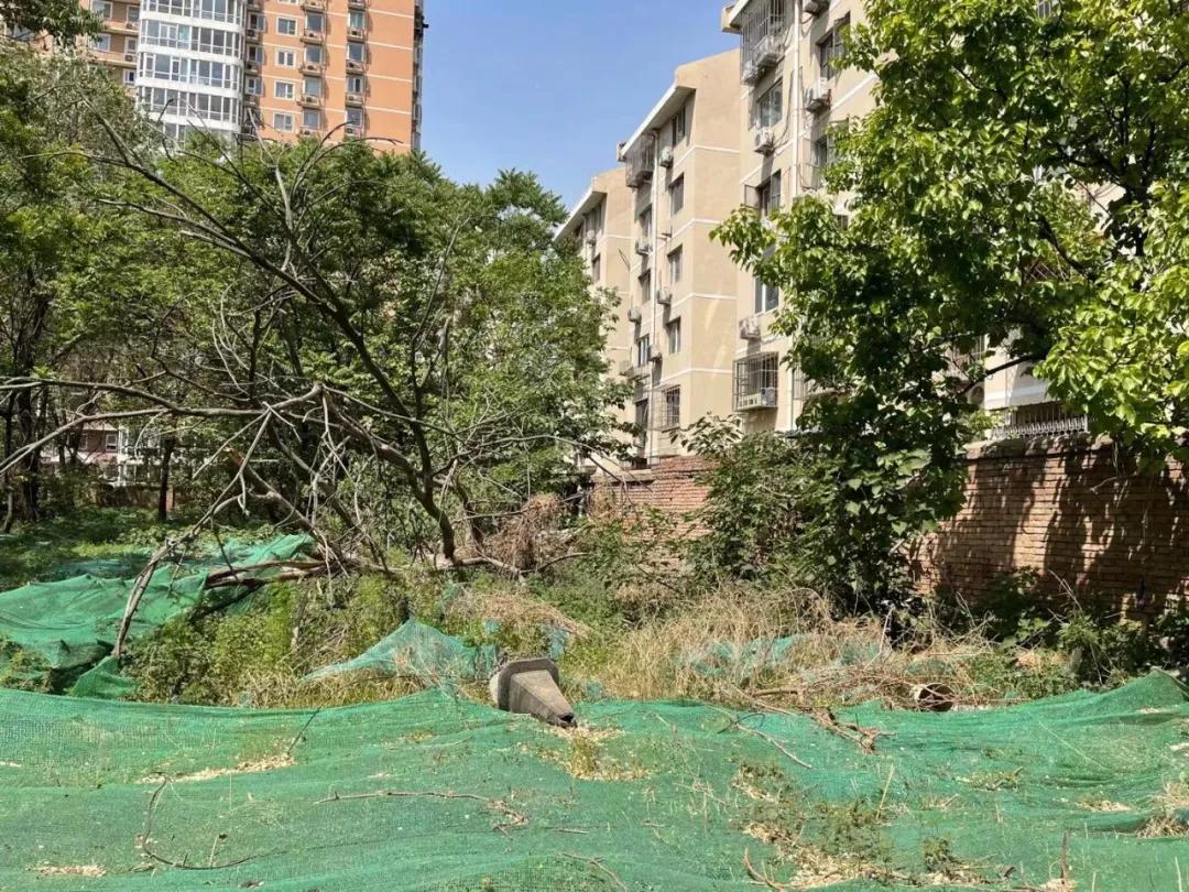 明明有停车位却停不了车,北京小区地库停车