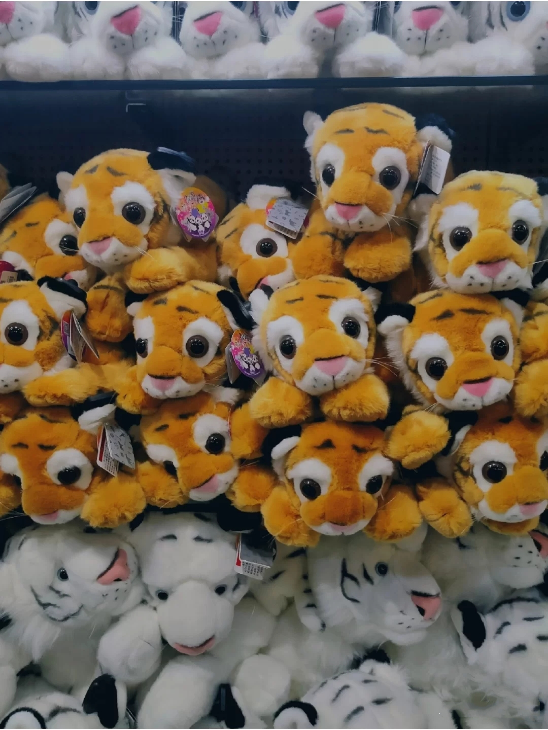 一月广州长隆野生动物园游玩攻略,广州长隆野生动物园半日游玩攻略