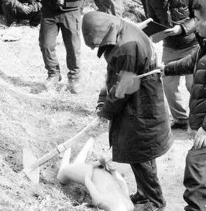 杀人回忆真凶落网完整版,杀人回忆背后的真实案件