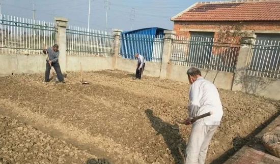 水稻育秧阶段问题及解决方案,水稻育苗稀了怎么办