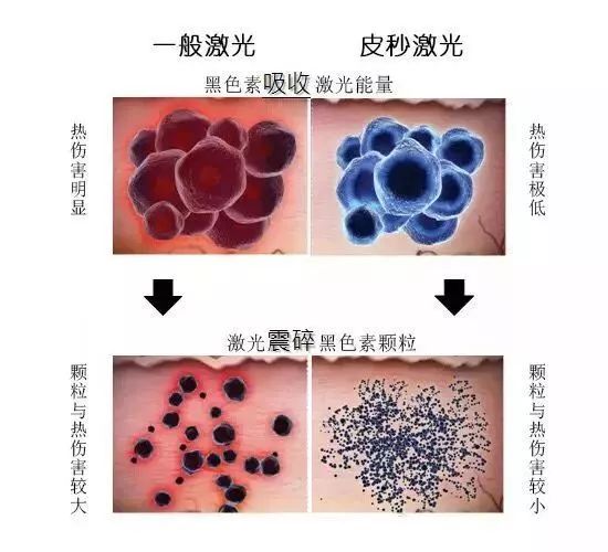 合作企业|定制美丽,章法集团携手丽美妍为您的美丽护航!