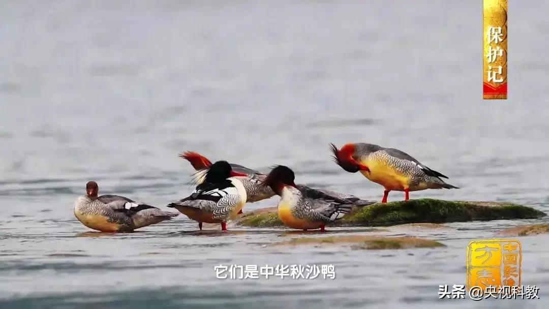 影像方志天峻,中国影像方志四川大竹篇