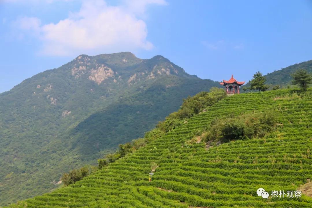 固始人怎么样啊,固始人哪里人最多