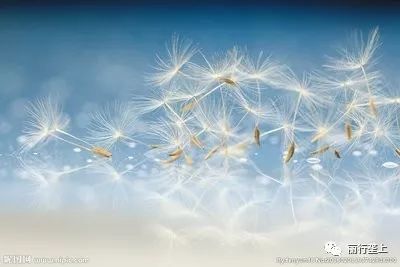 全球妈妈发音,全球妈妈叫法