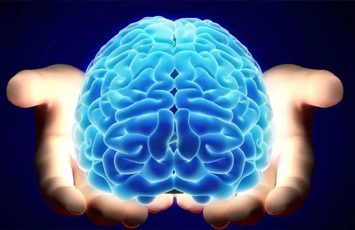 引发癫痫的原因有哪些,诱发癫痫的原因有什么