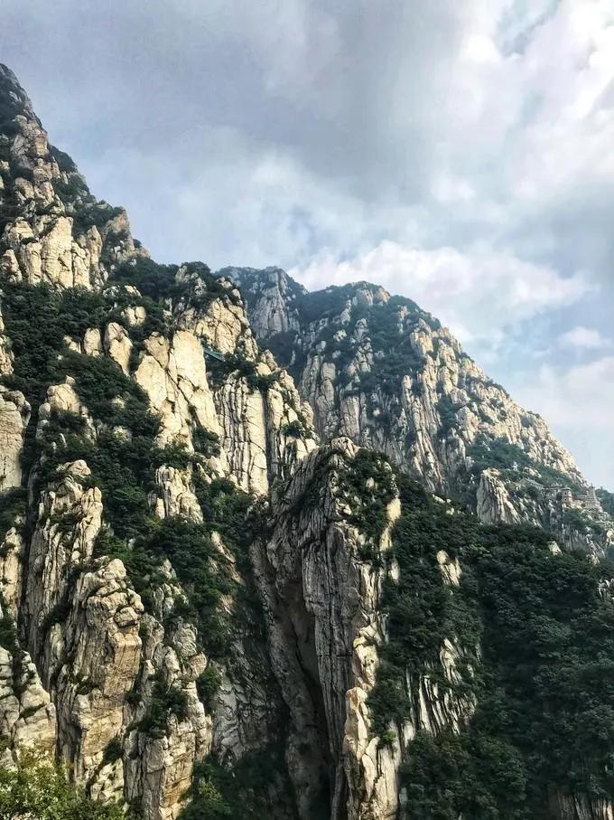 嵩山少林寺塔沟武校,嵩山少林寺文武学校