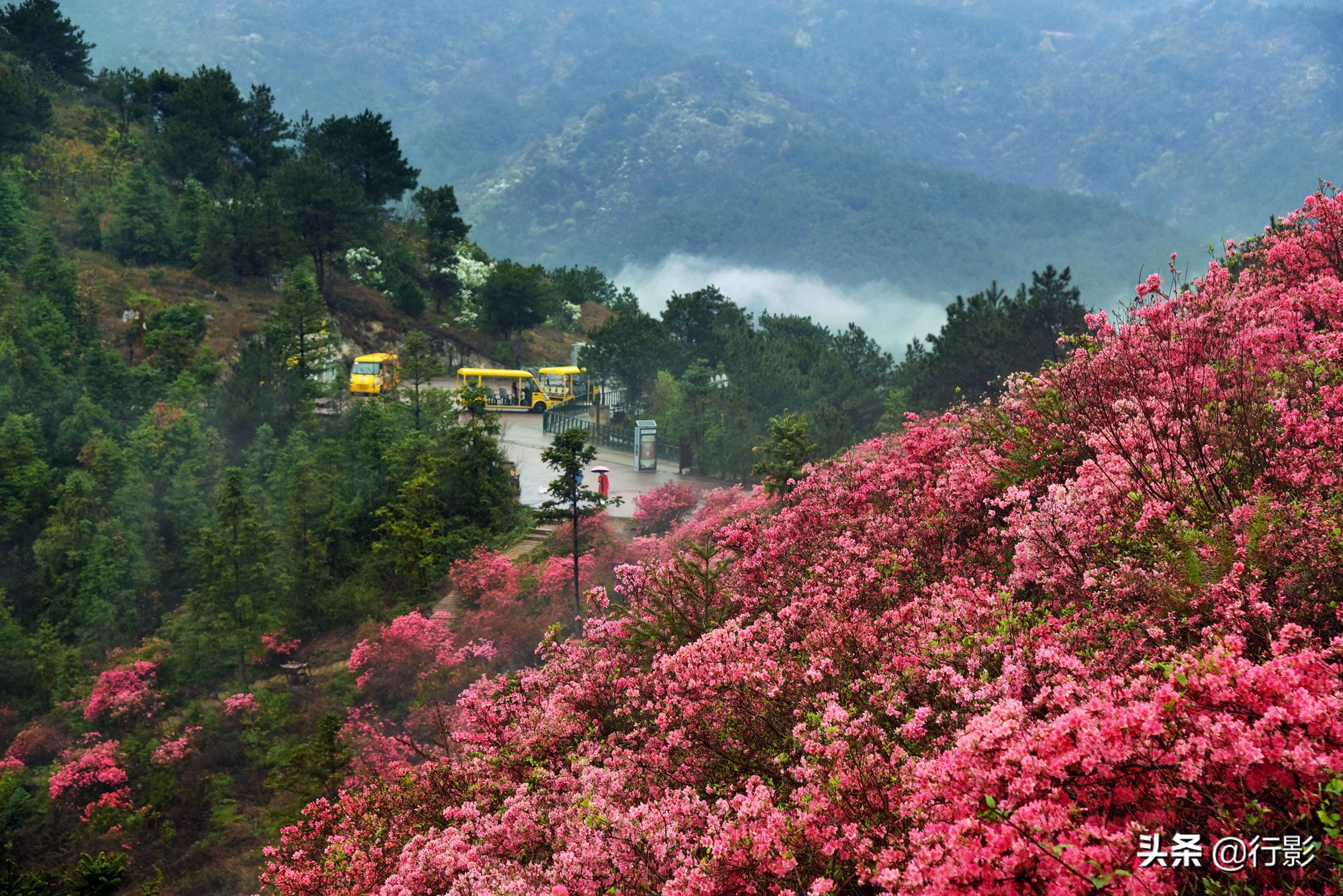 武汉云雾山风景区有什么好玩的,武汉云雾山游玩攻略