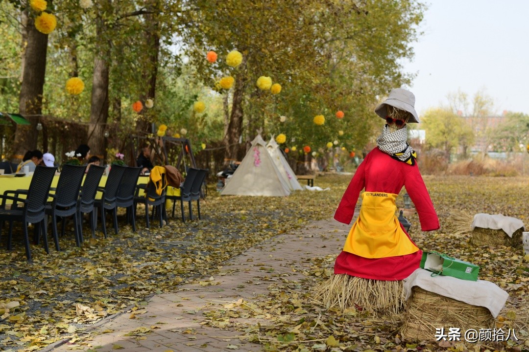 没有比利时花园游,来点比利时啤酒吧|随笔