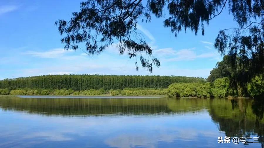 热带雨林木地板,户外庭院木地板推荐