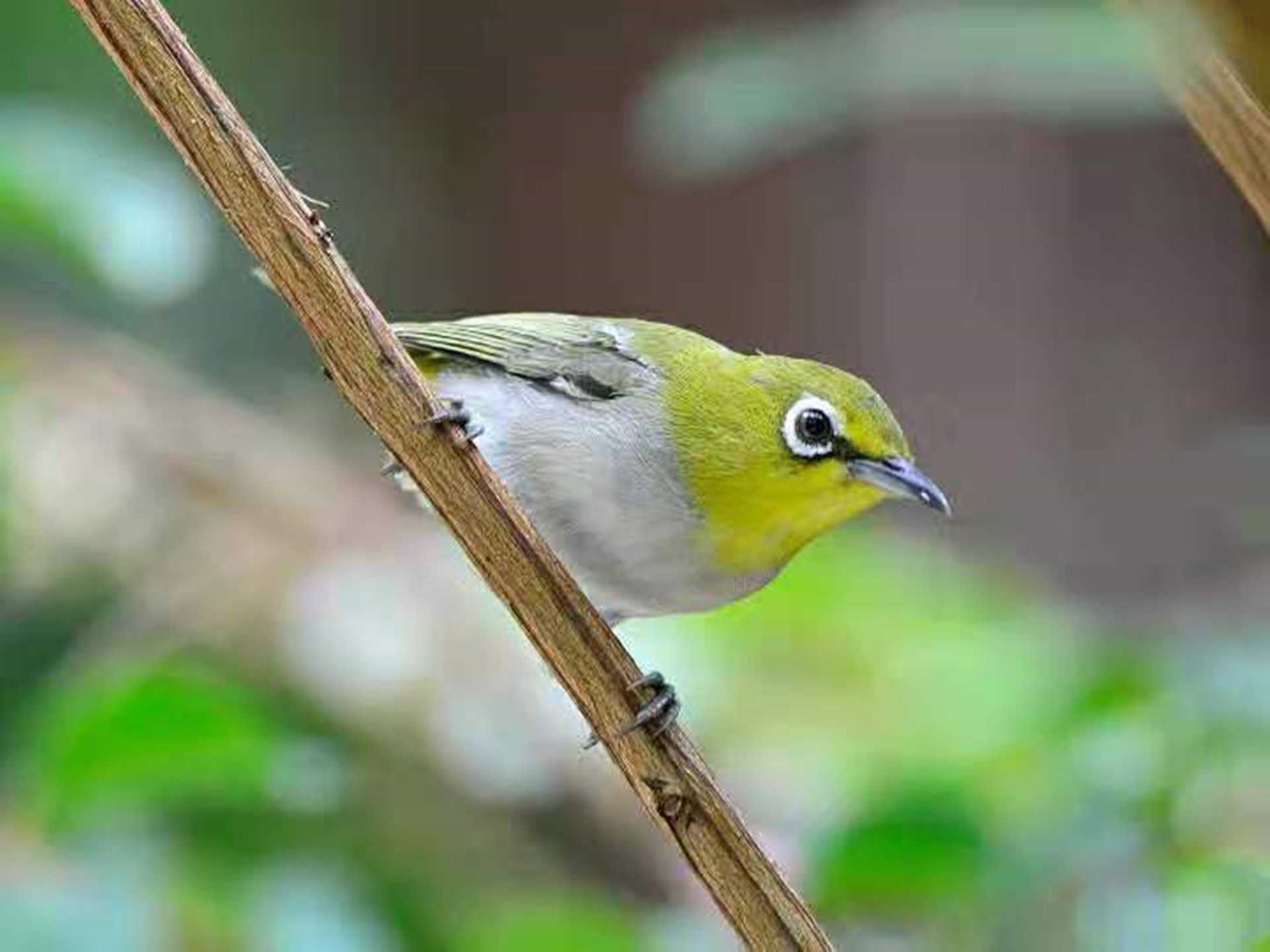 一桩离奇命案引出3年前一起旧案,一桩离奇命案引出三年前一起旧案