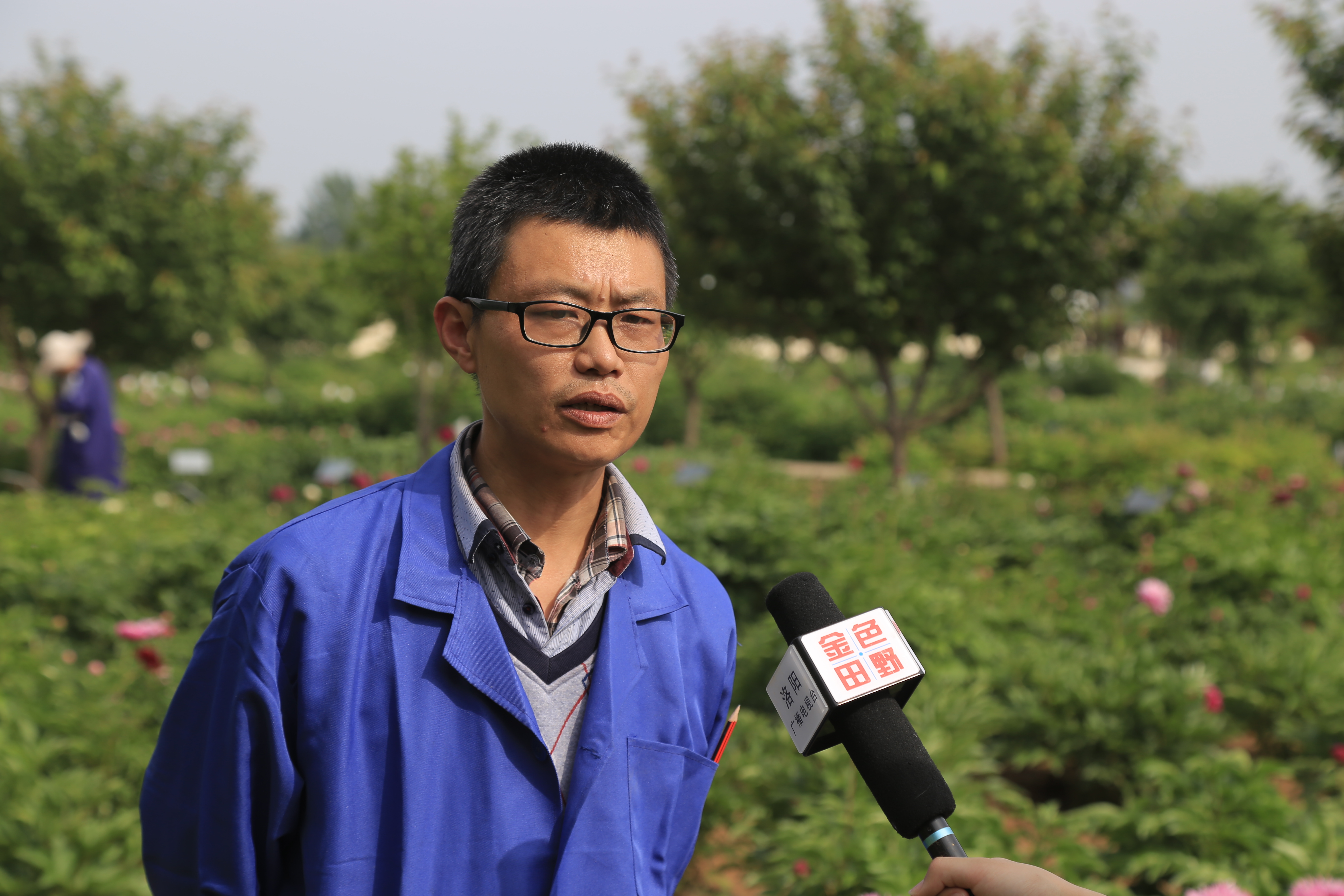 莫道春深百花残芍药花开正芬芳