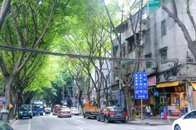 去广州必去的几条老街，“广府味”十足，正宗老广不一定全去过