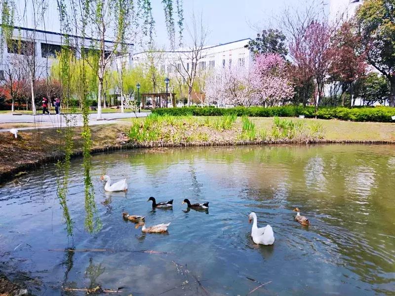 谢谢你,吴江哪个中学好