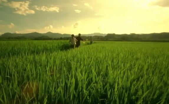 张艺谋获金鸡奖影帝,张艺谋获得几次金鸡最佳导演