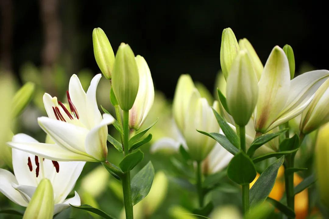 在济南花式避暑,一见“清”心!只需一瞥,便足以把酷夏原谅…