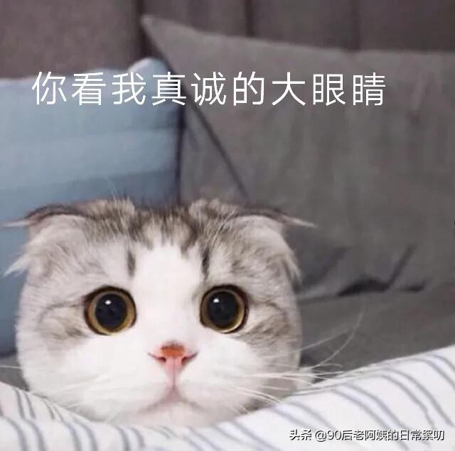 比较小众的日本网红,值得推荐的日本小众品牌