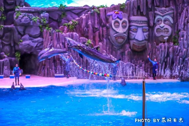 来珠海旅游必打卡的景点,春节珠海亲子游玩地方推荐