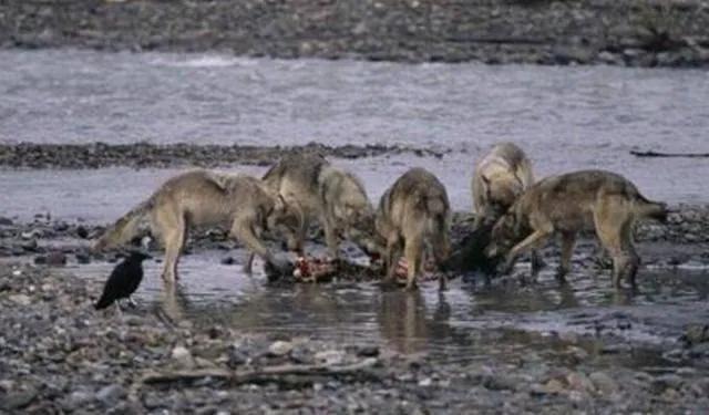 在外地打工十年能挣多少钱,西藏打工真实收入