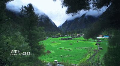 有一种风情叫江南烟雨,波密西藏江南