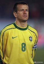 绰号和动物有关的巴西球星,巴西足球名将绰号小鸟