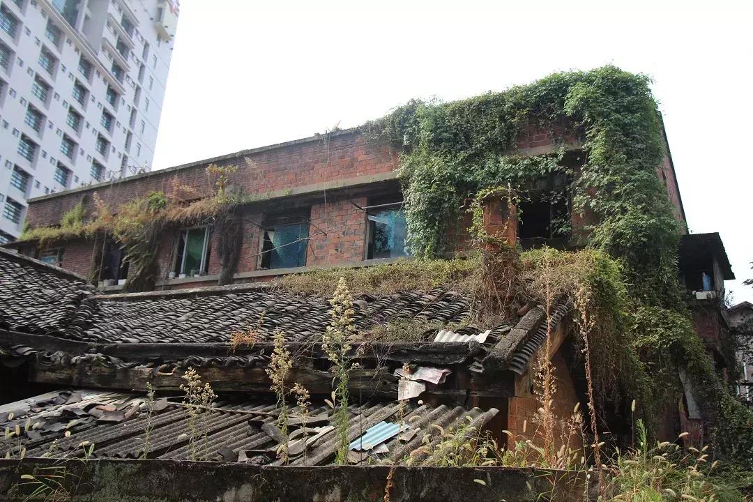 内江究竟是川东还是川南,内江和成都有什么区别