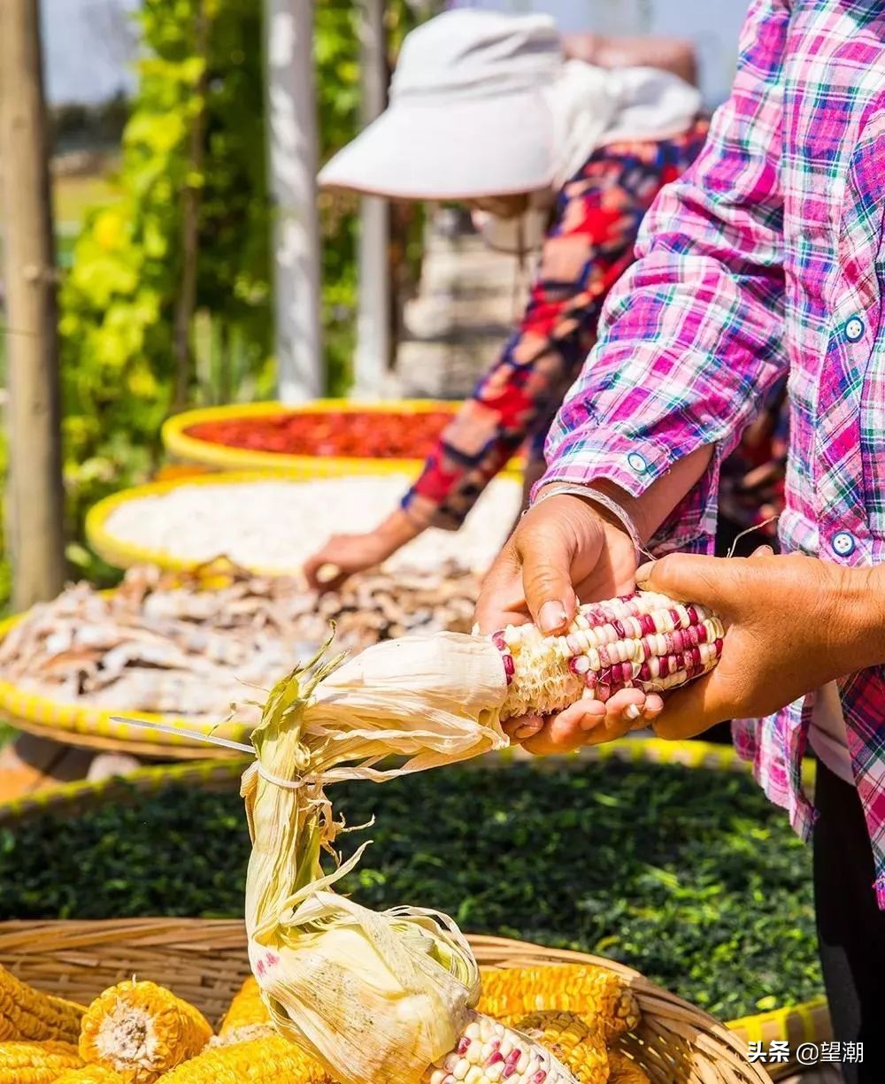 留住乡愁记忆的山居村落,乡愁记忆最美乡村风景