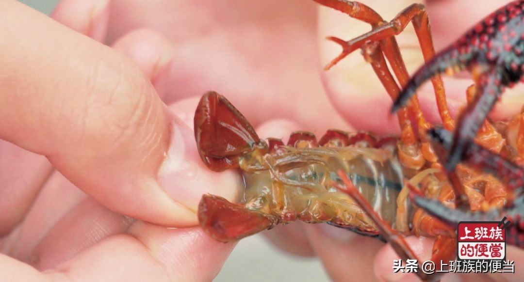 在家里做麻辣小龙虾怎么做才好吃,自己家做麻辣小龙虾怎么做才好吃